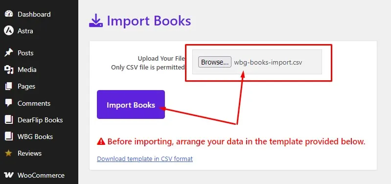 Books Gallery Import Books panel showing CSV file selected and Import Books button ready to click